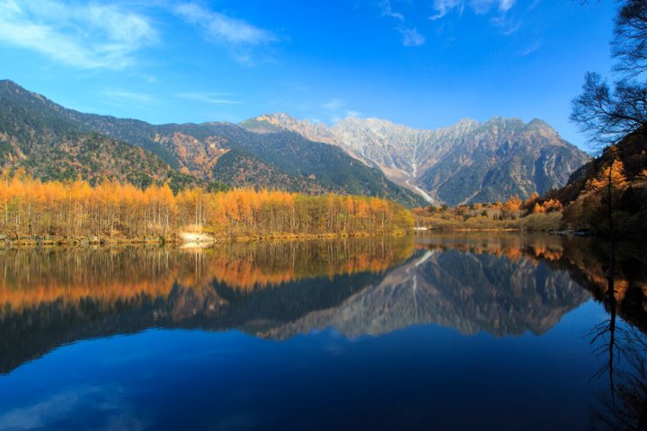 デザイン確認用ページ(背景色 + グリッド表示)の画像